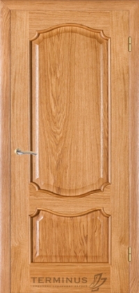 Дверь межкомнатная Терминус модель 41 Caro