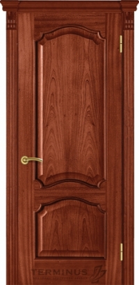 Двері Термінус модель 42 Caro (Оригінальні)