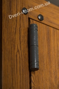 Техническая дверь-оцинковка (Дуб)