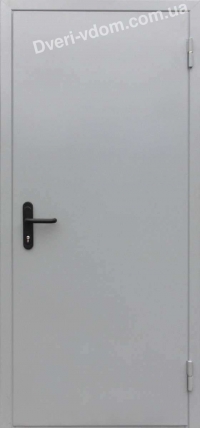 Технічні двері DV-0.5 RAL-7035