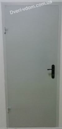 Техно-Метал RAL 7035 - сірі двері вхідіні
