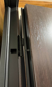 Гладь Темный орех — входная дверь в квартиру