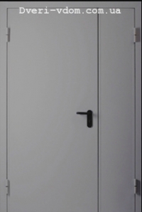 Полуторні двері метал-метал RАL 7035 (сірі)