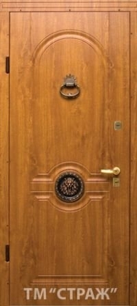 Вхідні двері Страж-модель 54 LEW