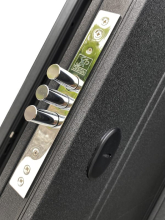 Входные двери Порта Метал-МДФ